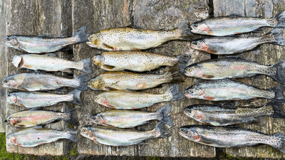 Freezer Filler Fishing in Wilmington, Vermont