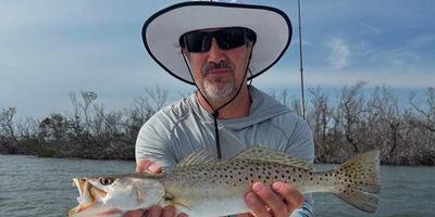 Sanibel Full Day Fishing Charter