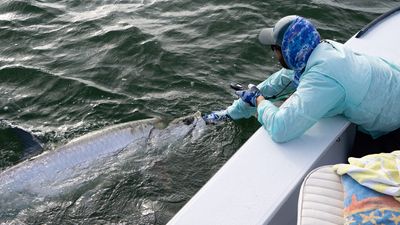 Tarpon Tango: Experience the Thrill of Tarpon Fishing in Bonita Springs, FL