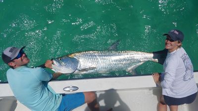 5 Hour Tarpon Fishing Trip - St. Petersburg, FL 