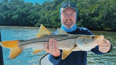 4 Hour Inshore Charter - St. Petersburg, FL 