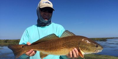 Jacksonville FL Fishing Charter | Full Day Inshore Fishing Trip