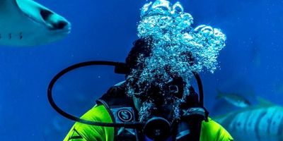 PADI Reactivate/Refresher Course