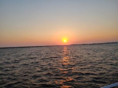 Rescue Diver 2 Day Course | July 18th-19th *Call to book (850) 716 - 0867