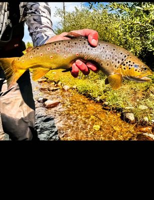 Fishing Guide Utah | 8 Hour Wade Fishing Trip