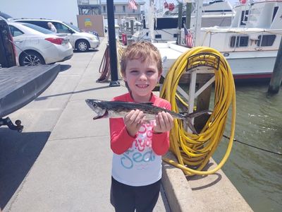 8-HOUR FISHING ADVENTURE IN THE GULF OF MEXICO