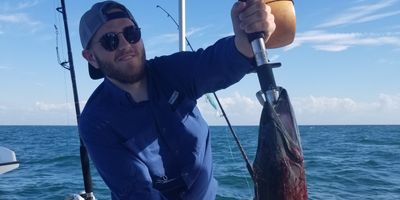 Clearwater Charter Fishing 