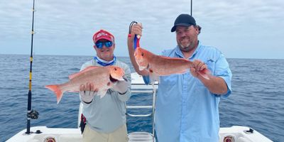 Deep Sea Fishing Clearwater Fl