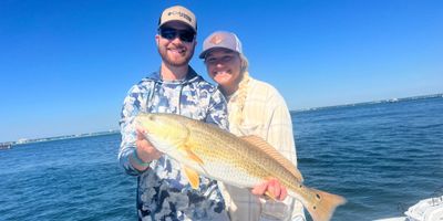 Pine Island FL Fishing Charters | 4 to 8 Hour Charter Trip