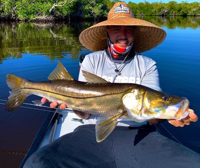 Miami Inshore Saltwater Fishing