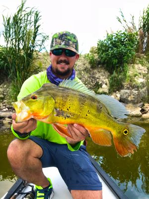 Miami Peacock Bass Fishing