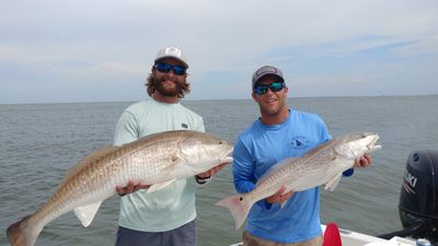 Half Day Tampa Bay Fishing Charters 