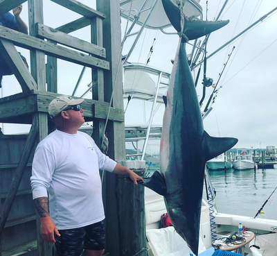 Offshore and Sharks - New York