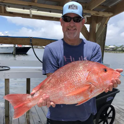 Fishing Charter Orange Beach | 6 Hour Offshore Trip 