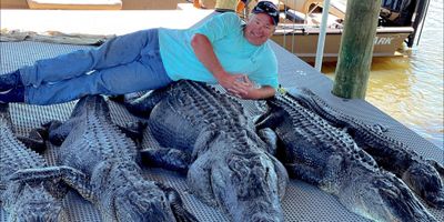 Alligator Hunting Trip Louisiana