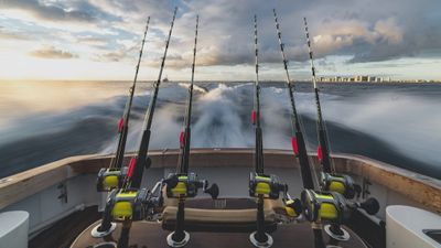 Full-Day Florida Keys Fishing