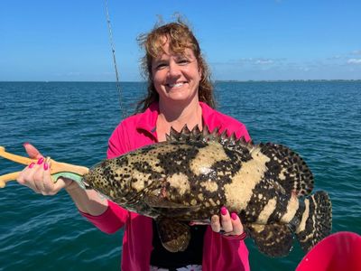 Goliath Grouper Adventure - Cape Coral