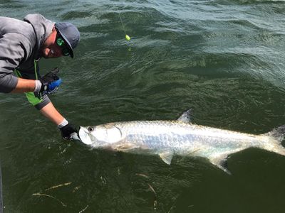 Tarpon Fishing Trip - Cape Coral