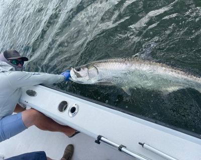 4-Hour Inshore and Flats Fishing Trip - Captiva