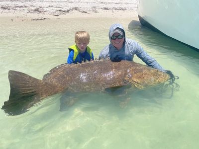 Goliath Grouper Fishing Trip - Captiva