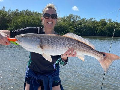 Extended Inshore and Flats Trip - Captiva