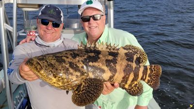 4 Hour Inshore Fishing Trip - Bradenton, FL 