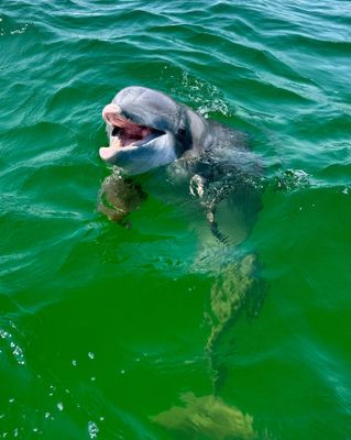 Family Fun Excursion from Panama City Beach!