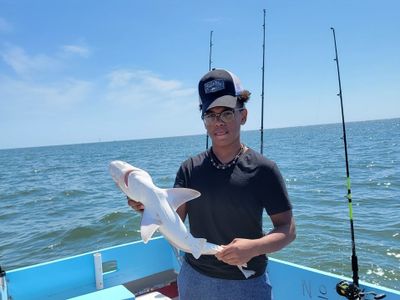 Chesapeake Bay Shark Fishing