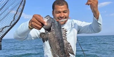 Deep Sea Fishing Point Pleasant |Offshore Jumbo Sea Bass