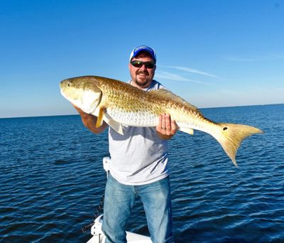 Redfish Roundup