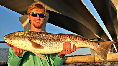 Fishing Charters Panama City Florida