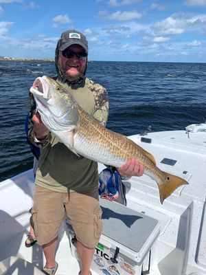 4 Hour Morning Fishing Trip in Orange Beach, AL