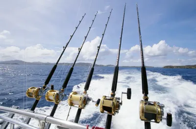 Private Blue Water Fishing