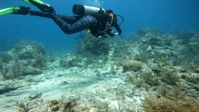 Private  4-Hour Scuba Diving | Custom Trip