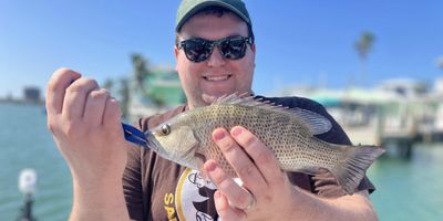 3/4 Day Inshore Charter Trip