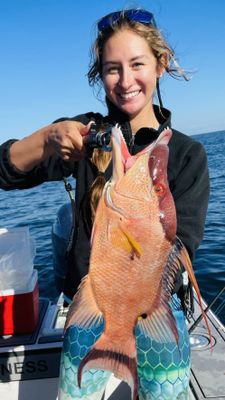 Deep Sea Fishing Crystal River FL | 8 hour Trip Up to 50 Miles