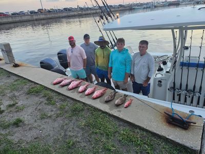 Panama City Dolphin Tour & Nearshore Fishing Charter