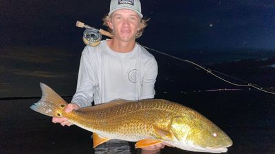 Night Time Fishing St Petersburg FL