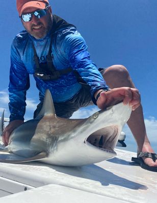 Shark Fishing St Petersburg