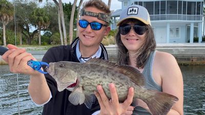 Fishing Charter Boca Grande - Goliath Grouper Specialty Trip!