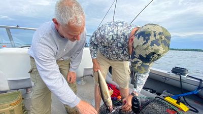 Oneida Lake Walleye Fishing