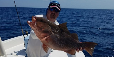 Private 4 To 6 Hour Goliath Grouper Fishing Trip In Sarasota 