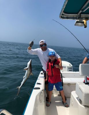 Fishing Charters In Sea Isle City NJ | 6 Hour Charter Trip 