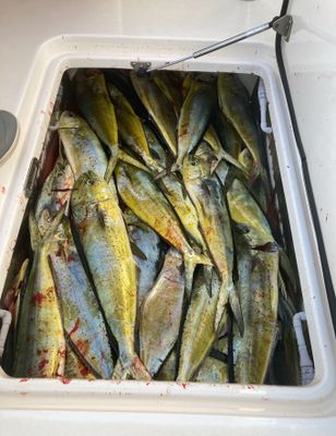 Fishing Charters New Jersey | 12 Hour Charter Trip