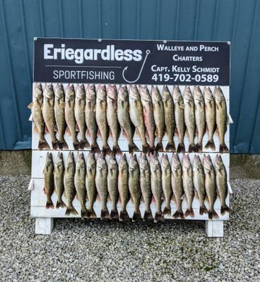 Weekend Walleye Charter - Lake Erie