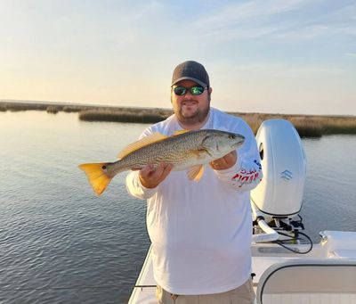 Fishing Charters in Panama City FL | 4 Hour Trip AM &PM Inshore Fishing