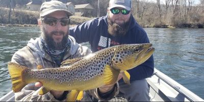 Arkansas Fishing Trips - Half Day Fly Fishing Trip