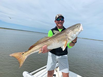 Full Day Reef Fishing in McClellanville, South Carolina