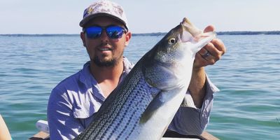 Fishing Guides On Lake Texoma - Afternoon Fishing Adventure.