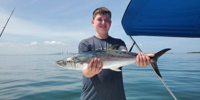 Fishing Charters Tampa Bay Florida - 6 Hour Fishing Adventure